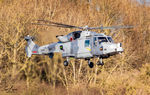 ZZ395 @ EGXE - Wildcat Tempest 2022 - by ianlane1960