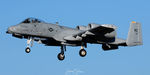 79-0113 @ KPSM - Whiteman Hog arrival - by Topgunphotography