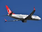 TC-LCA photo, click to enlarge