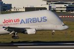 F-GSTC @ LFBO - Airbus A300B4-608ST Beluga, Landing rwy 14R, Toulouse-Blagnac Airport (LFBO-TLS) - by Yves-Q