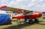 N7748H @ KLAL - Piper PA-12 - by Mark Pasqualino