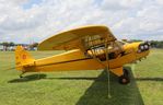 N4693S @ KLAL - Piper J3C-65 - by Mark Pasqualino