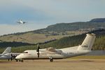 C-GNCJ @ CYLW - Nice catch, another family meeting - by Koala