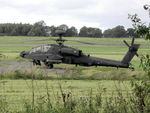 ZJ231 photo, click to enlarge ZJ231 photo, click to enlarge