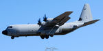 ZH879 @ KPSM - ASCOT79 - by Topgunphotography