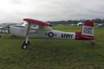 N3019J photo, click to enlarge