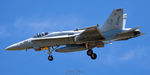 164244 photo, click to enlarge