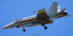 164240 photo, click to enlarge