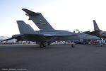 166599 @ KOSH - F/A-18E Super Hornet 166599  from VFA-143 Pukin Dogs  NAS Oceana, VA - by Dariusz Jezewski www.FotoDj.com