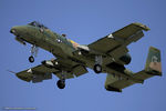 81-0962 @ KOSH - A-10C Thunderbolt II 81-0962 DM from 354th FS Bulldogs 355th WG Davis-Monthan AFB, AZ - by Dariusz Jezewski www.FotoDj.com