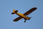 N98565 @ C77 - Piper J3C-65 - by Mark Pasqualino