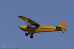 N3331N @ KLAL - Piper J3C-65 Cub  C/N 22531, N3331N - by Dariusz Jezewski www.FotoDj.com