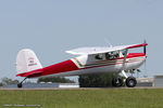 N9651A @ KLAL - Cessna 140A  C/N 15481, N9651A - by Dariusz Jezewski www.FotoDj.com