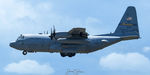 93-1455 @ KPSM - REACH409, 186th AS - by Topgunphotography