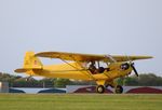 N98565 @ C77 - Piper J3C-65 - by Mark Pasqualino