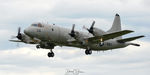 161336 @ KPSM - NAVY LEMA YANKEE 336 - by Topgunphotography