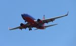 N440LV @ KTPA - TPA 2022 - by Florida Metal
