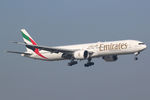 A6-EGG @ EHAM - at spl - by Ronald