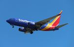 N929WN @ KTPA - TPA 2021 - by Florida Metal