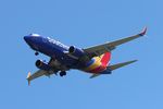 N953WN @ KTPA - TPA 2022 - by Florida Metal