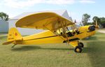N38348 @ 88C - Piper J3C-65 - by Mark Pasqualino
