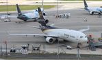 N259UP @ KTPA - TPA 2022 - by Florida Metal