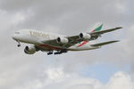 A6-EVC photo, click to enlarge A6-EVC photo, click to enlarge