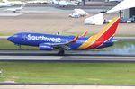 N446WN @ KTPA - TPA 2022 - by Florida Metal