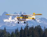 N6595V @ KAWO - KAWO - by Terry Green