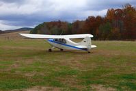 N81755 - Aeronca Champion on private grass strip at Munford, AL - by J Baker Hill