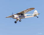 N88209 @ KAWO - KAWO - by Terry Green