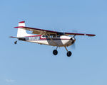 N181JB @ KAWO - KAWO - by Terry Green