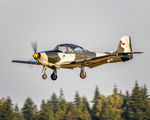 N149RL @ KAWO - KAWO - by Terry Green