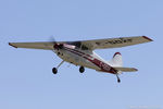 C-GOXF @ KOSH - Cessna 170B  C/N 25749, C-GOXF
