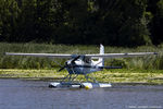 N392PT @ KOSH - Cessna 180A Skywagon  C/N 50140, N392PT - by Dariusz Jezewski www.FotoDj.com