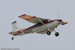 N4031Y @ KOSH - Cessna 185 Skywagon  C/N 1850231, N4031Y - by Dariusz Jezewski www.FotoDj.com