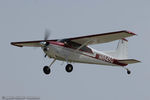 N8845Q @ KOSH - Cessna A185F Skywagon  C/N 18503776, N8845Q - by Dariusz Jezewski www.FotoDj.com