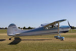 N1953A @ KOSH - Cessna 170B  C/N 25582, N1953A - by Dariusz Jezewski www.FotoDj.com