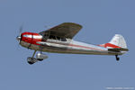 N1591D @ KOSH - Cessna 195A  C/N 7874, N1591D