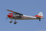 N1591D @ KOSH - Cessna 195A  C/N 7874, N1591D
