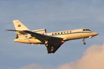 17403 @ LMML - Dassault Falcon 50 17403 Portuguese Air Force - by Raymond Zammit