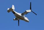 168688 @ KOSH - OSH 2022 - by Florida Metal