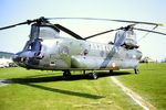 MM81169 @ EGVP - At the 1984 Middle Wallop air show.