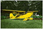 N9659E - 1946 Aeronca 11AC, MSN 11AC-1301 - by sames1