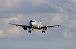 N167AN @ KOSH - OSH 2022 - by Florida Metal