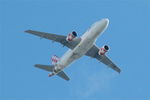 EC-MUC @ LFRB - Airbus A319-111, Flight over Brest-Bretagne airport (LFRB-BES) - by Yves-Q