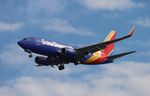 N558WN @ KTPA - TPA 2022 - by Florida Metal