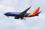 N7734H @ KTPA - TPA 2022 - by Florida Metal