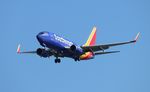 N7847A @ KTPA - TPA 2022 - by Florida Metal