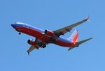 N8632A @ KTPA - TPA 2022 - by Florida Metal